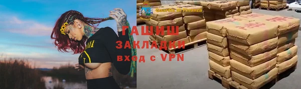 хмурый Магас