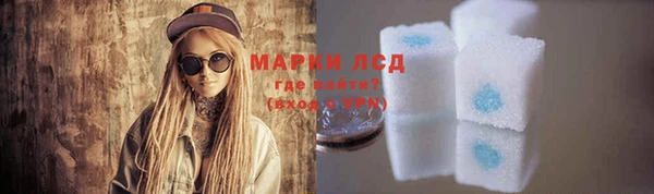 прущие грибы Михайловка