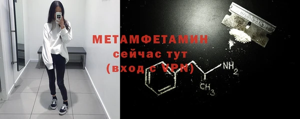 прущие грибы Михайловка