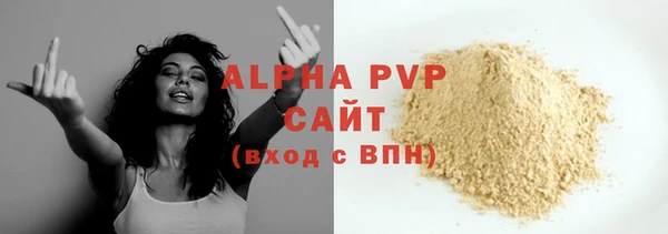 прущие грибы Михайловка